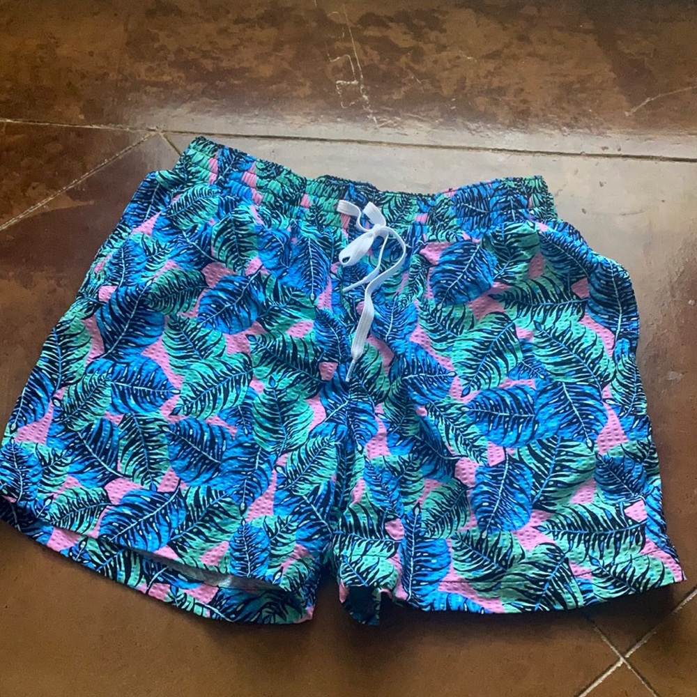 Men's Chubbies Swim Trunks